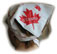 O'Canada Maple Leaf Bandana