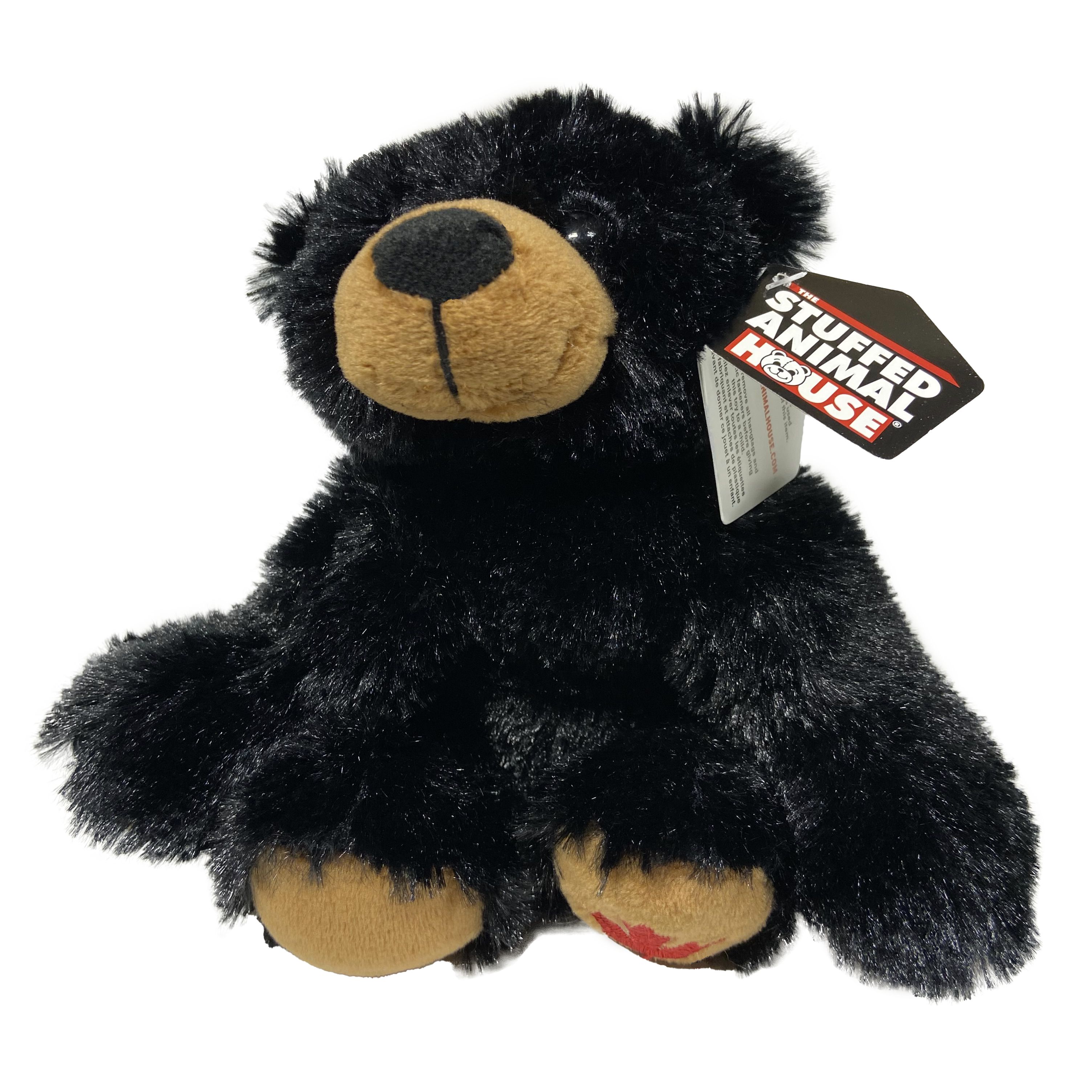 Canada Maplefoot Baby (Black Bear)