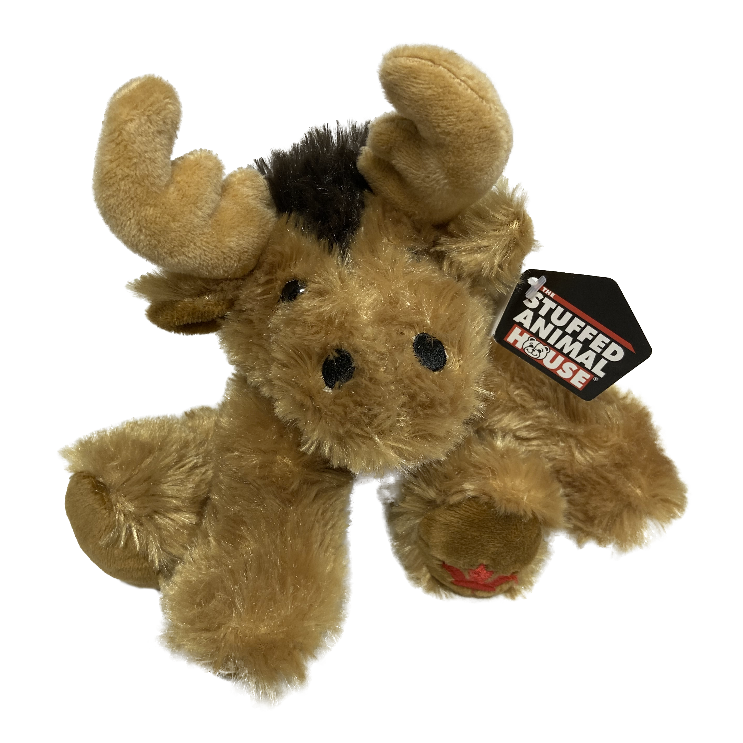Canada Maplefoot Baby (Moose)