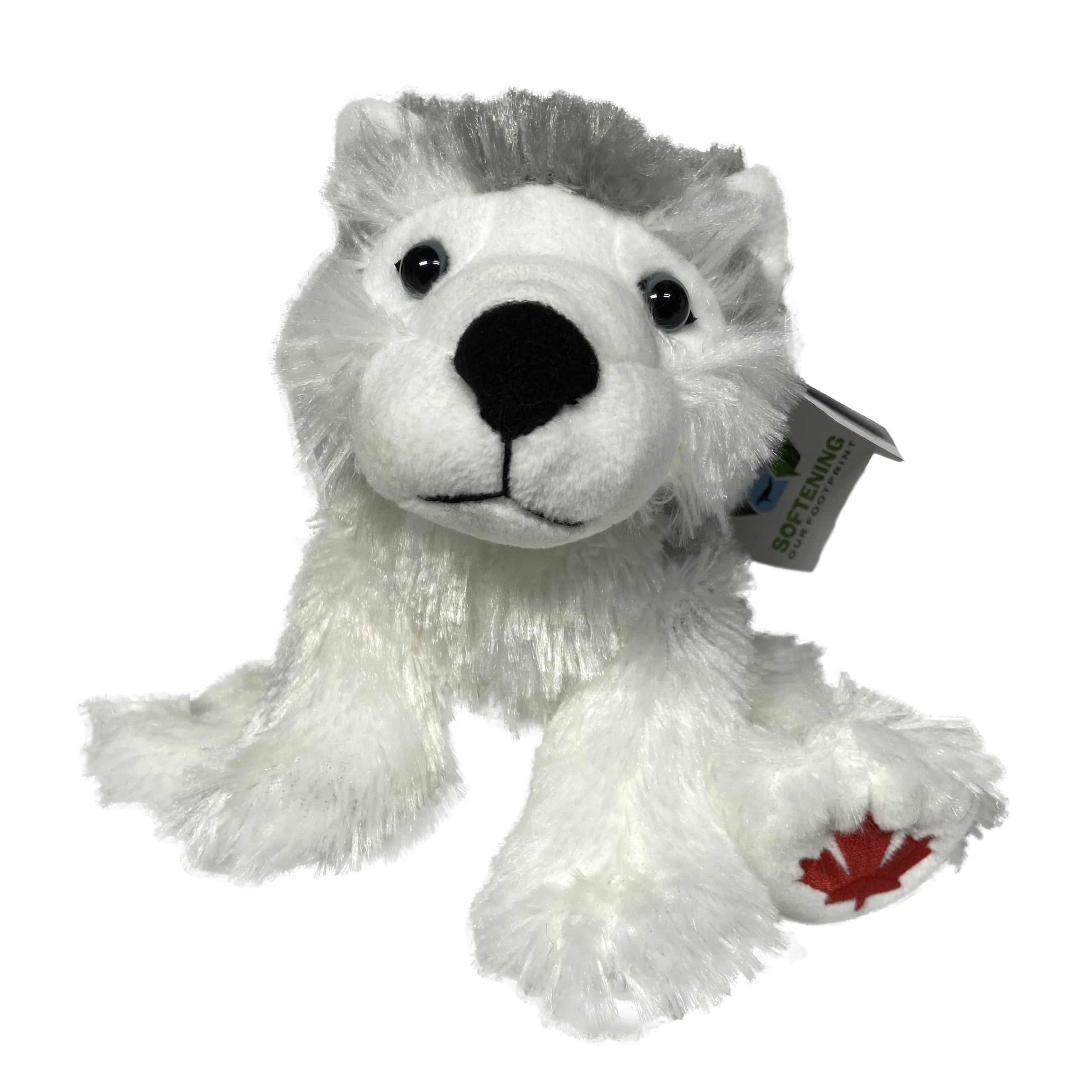 Canada Maplefoot Baby (Red Lobster)
